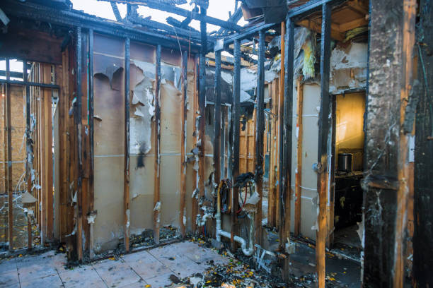 Professional Fire Damage Removal technician working in Fork, MD