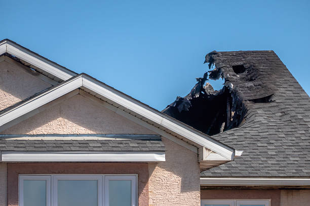 Top rated local Fire Damage Removal specialists in Fork, MD